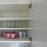 3 Karli